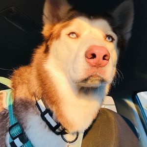 Meet your Posher, Natalie